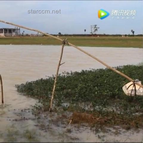 探险安全新趋势：巨型鲶鱼洞穴事件后的反思与未来展望